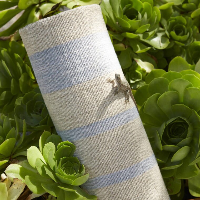 Seville Stripe