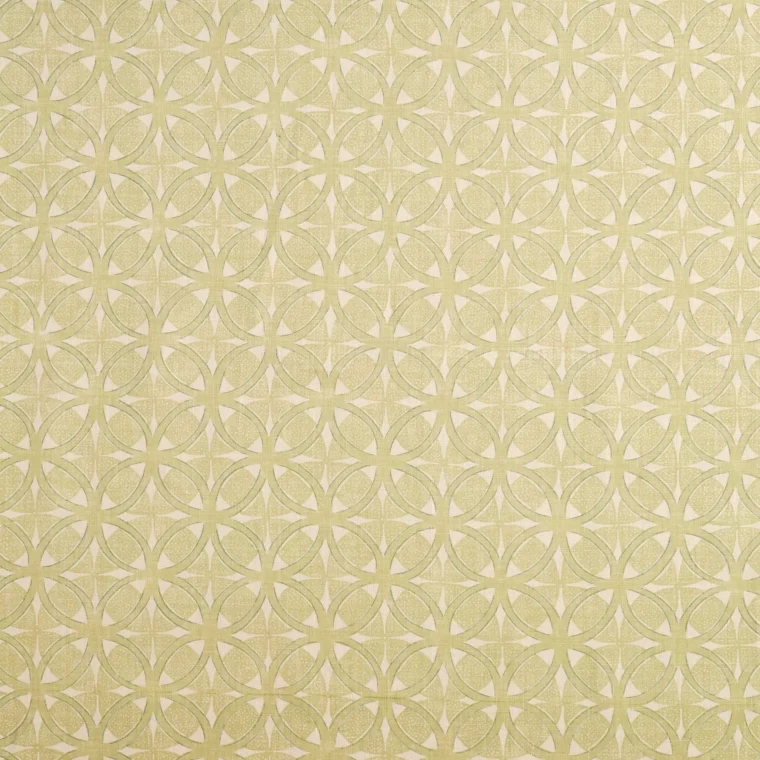 Ava Kiwi EE4101A-59 Full 2025 Select