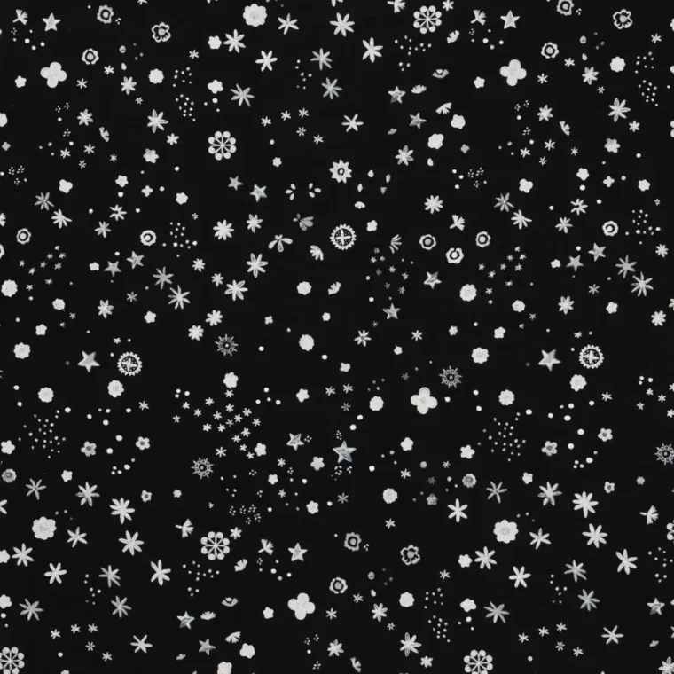 Flowers and Stars Black & White EE24120-02 Full 2025 Select