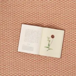 Alma's Flowers Coral Strie EERUG1000571 | 30% OFF