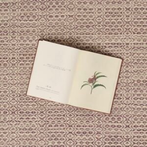 Lace Amethyst EERUG1001358 | 30% OFF