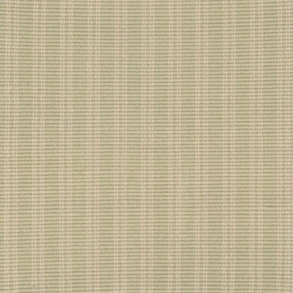 India Stripe Celadon EERUG1001494 | 30% OFF