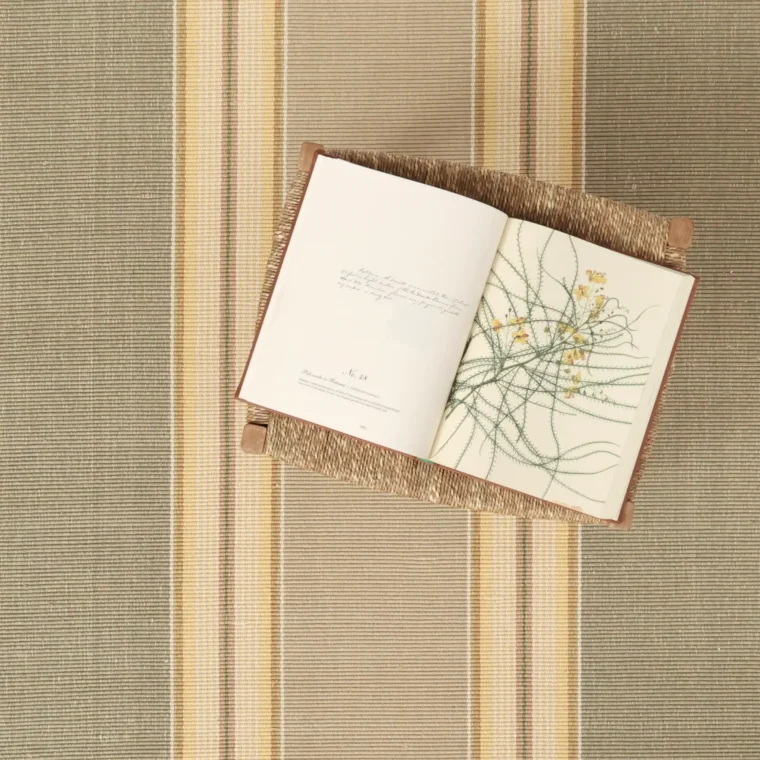 Cotton La Brea Stripe Green