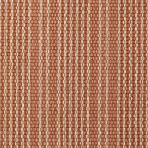 Canvas Stripe
