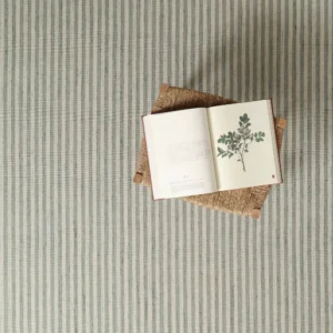 Sale Rug Collection | Space Dyed Stripe Flatweave Grey Blue