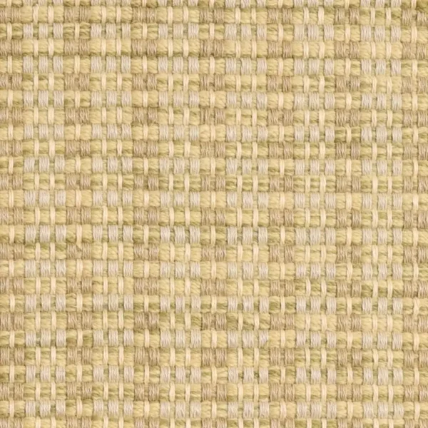 Basket Weave Pistachio Strie EERUG1001619