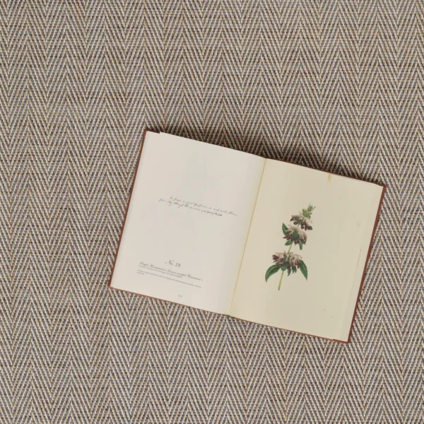 3" Reverse Twill Lavender Strie EERUG1000502 | 70% OFF