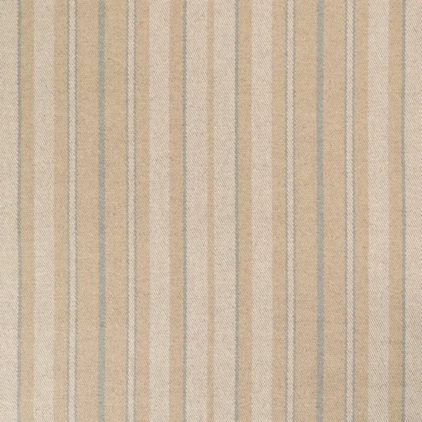 Linen Twill Aspen Stripe  EERUG1001001