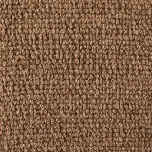 Wooly Dunes