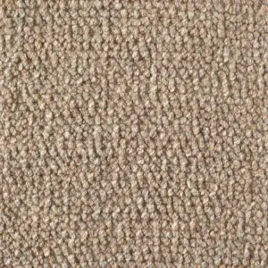 Wooly Dunes