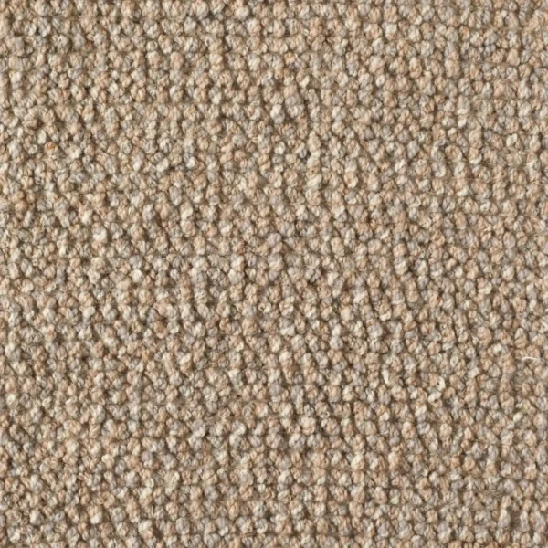 Wooly Dunes