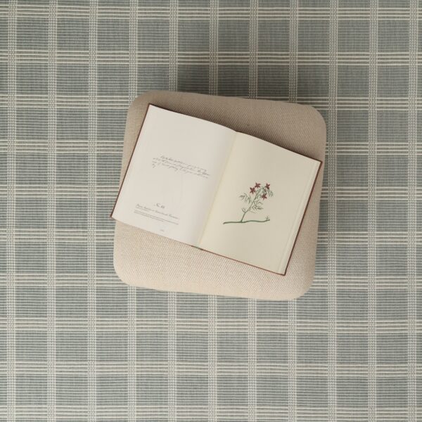 Gardin Grid Blue, Cream EERUG1001327-2
