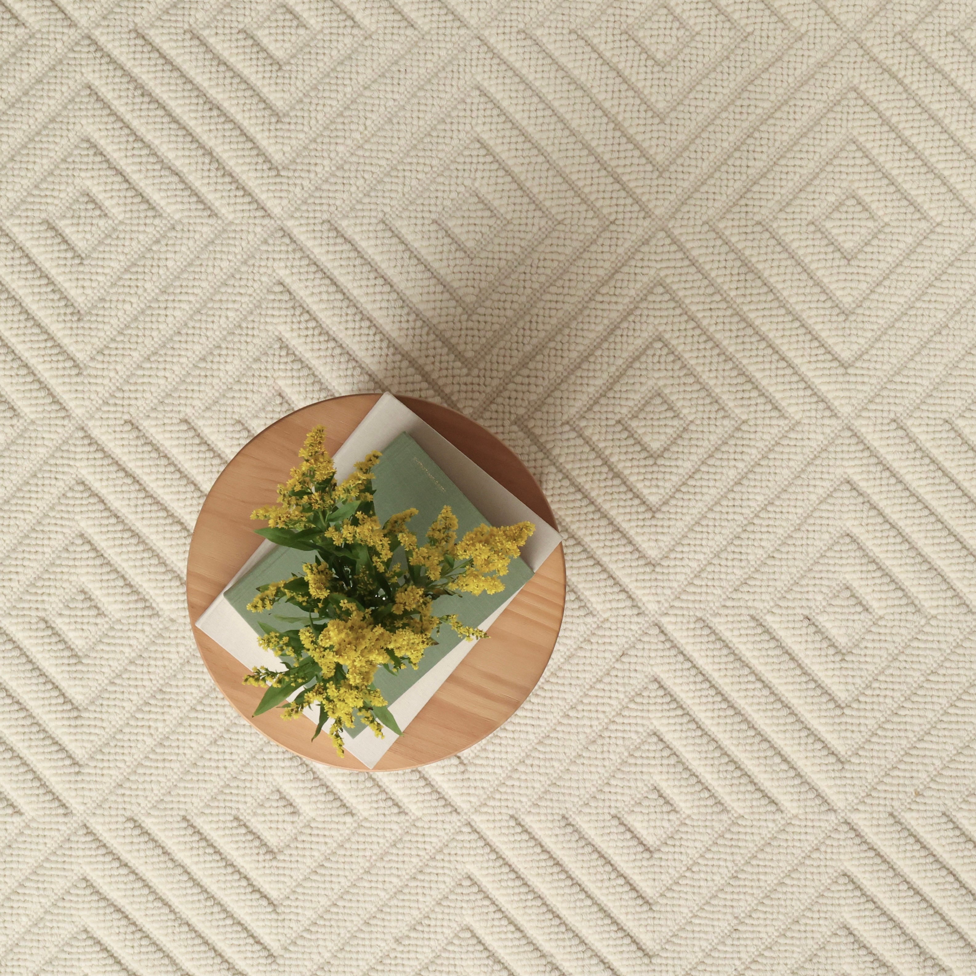 Elizabeth’s Cloth Cut Pile & Loop Dhurries Group – Elizabeth Eakins