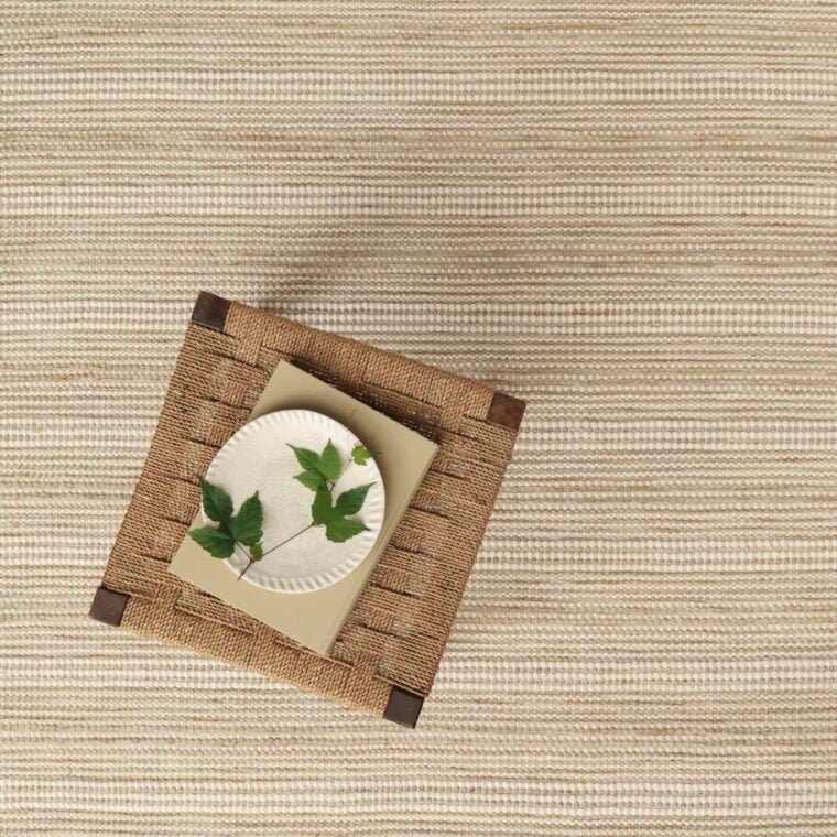 ECloth Rag Rug Mushroom Quick Ship Styled 18