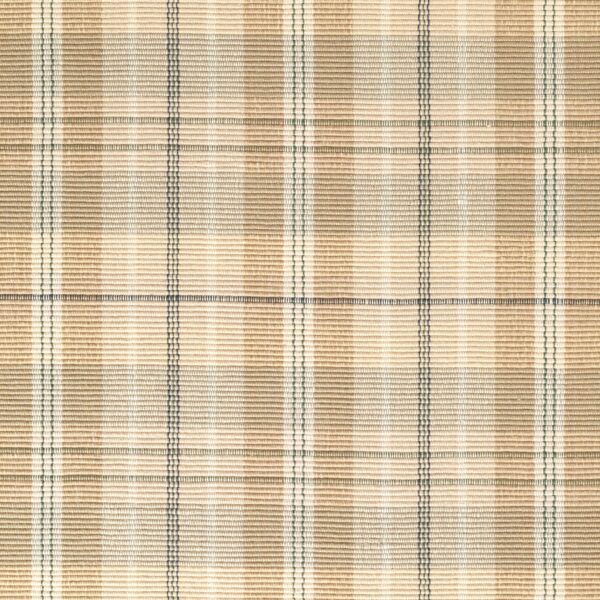 Celadon Plaid EERUG90314
