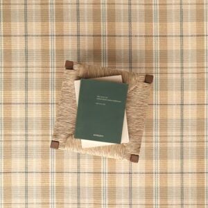 Celadon Plaid EERUG90314