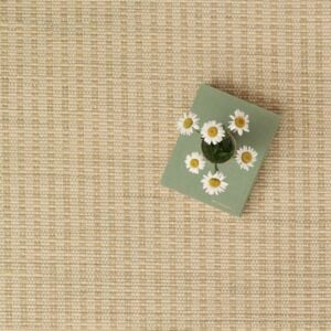 Basket Weave Pistachio Strie EERUG1001618