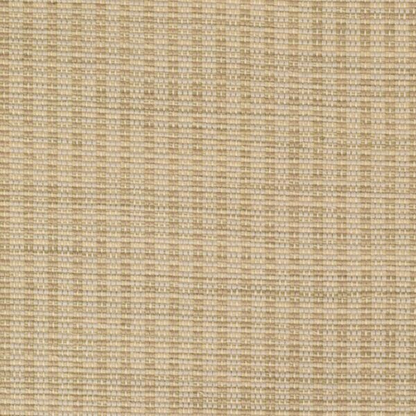Basket Weave Pistachio Strie EERUG1001619