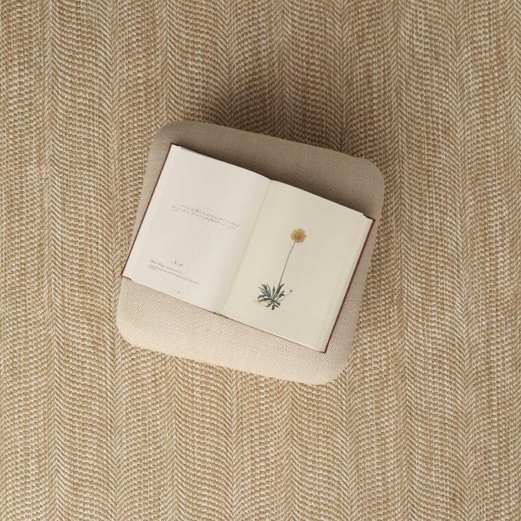 ECloth Curves Gold Styled 6