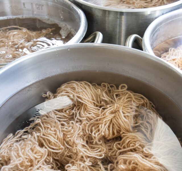 144_EakinsStudio_Feb2025_6504 (1)