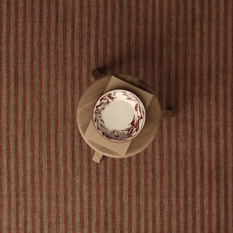 ECloth Space Dyed Stripe Flatweave Saddle & Terra Cotta Styled 5