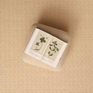 Blossom Butter EERUG10001662