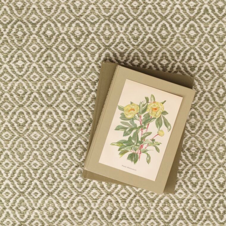 ECloth Stockel Lichen Styled 1