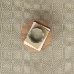 Lace Celadon, Silver Undyed Fleece EERUG1001236