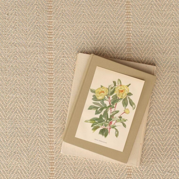 Teff Pinstripe Reverse Twill Powder Blue, Almond Styled 5