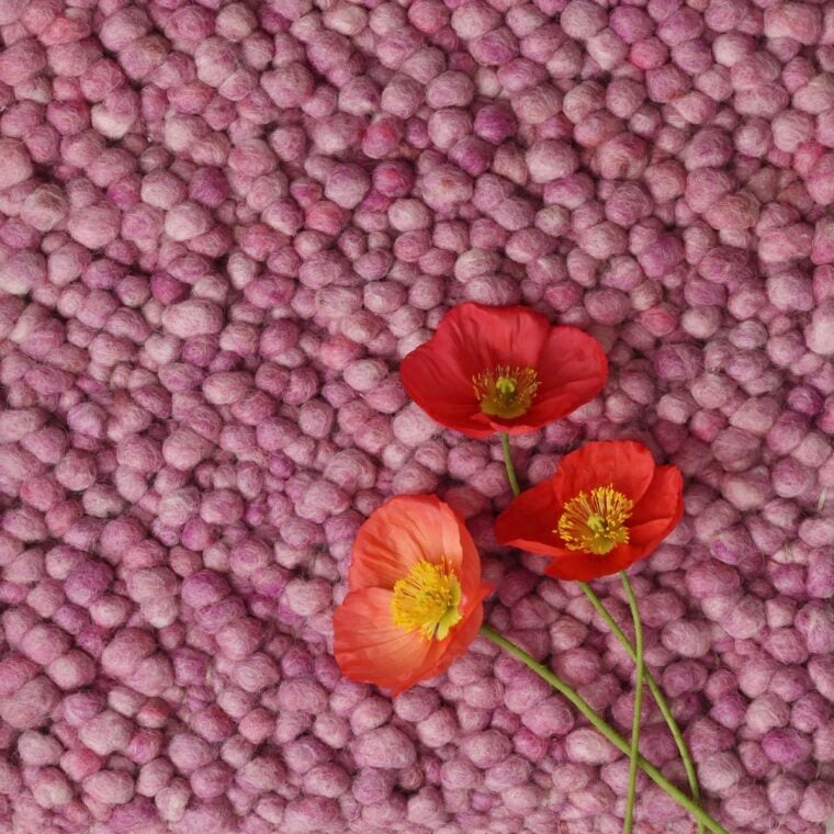 WT Olbia Collina Sweet Rose 7704 Styled - 2026 2
