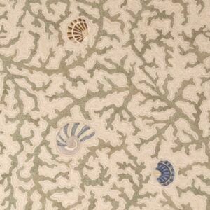 Sea Shells