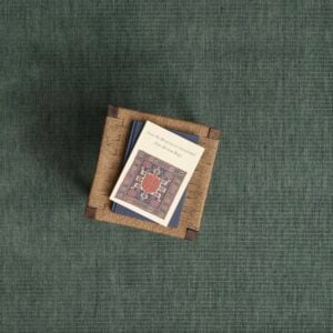Strie Velvet with Pinstripes EERUG1001210